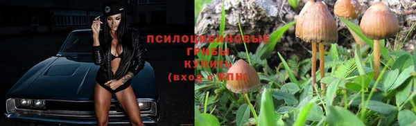 бутират Вяземский