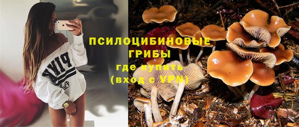 бутират Вяземский