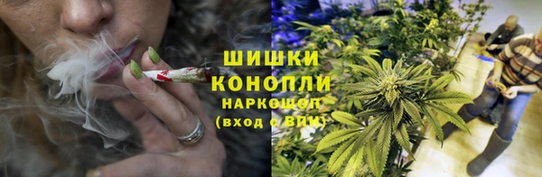 сатива Волоколамск